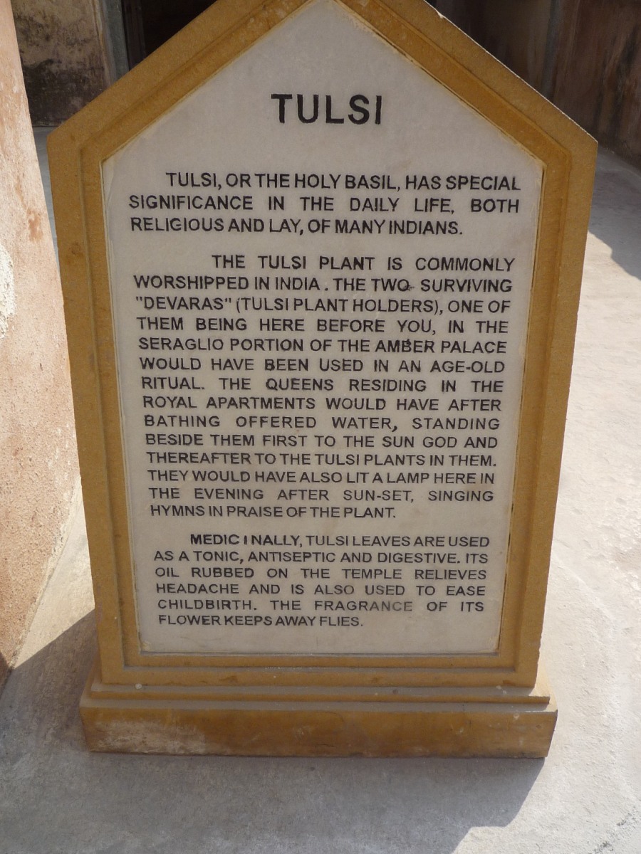 Amber Fort095